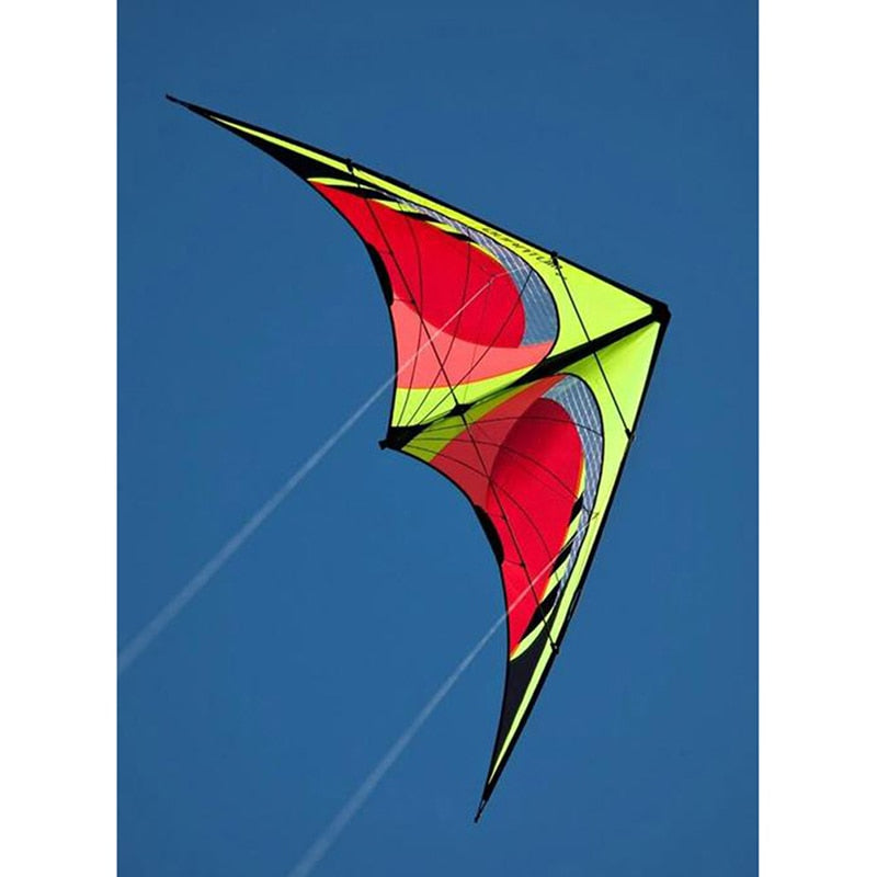 Large Delta Wind Kite