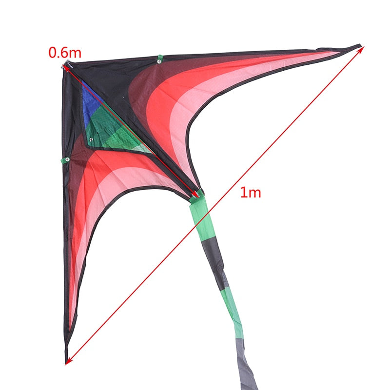 Large Delta Wind Kite