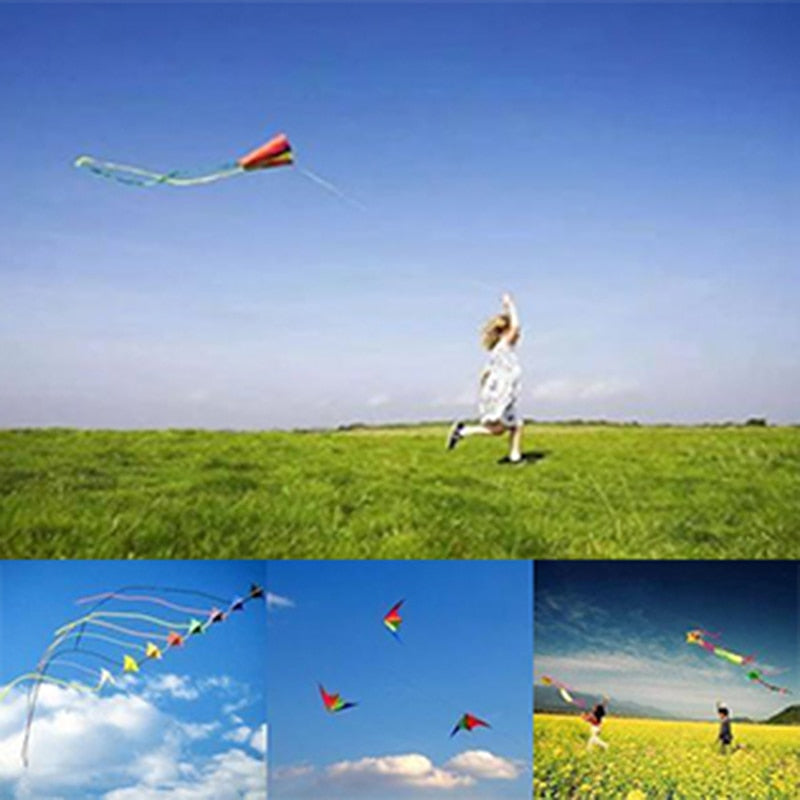 Large Delta Wind Kite