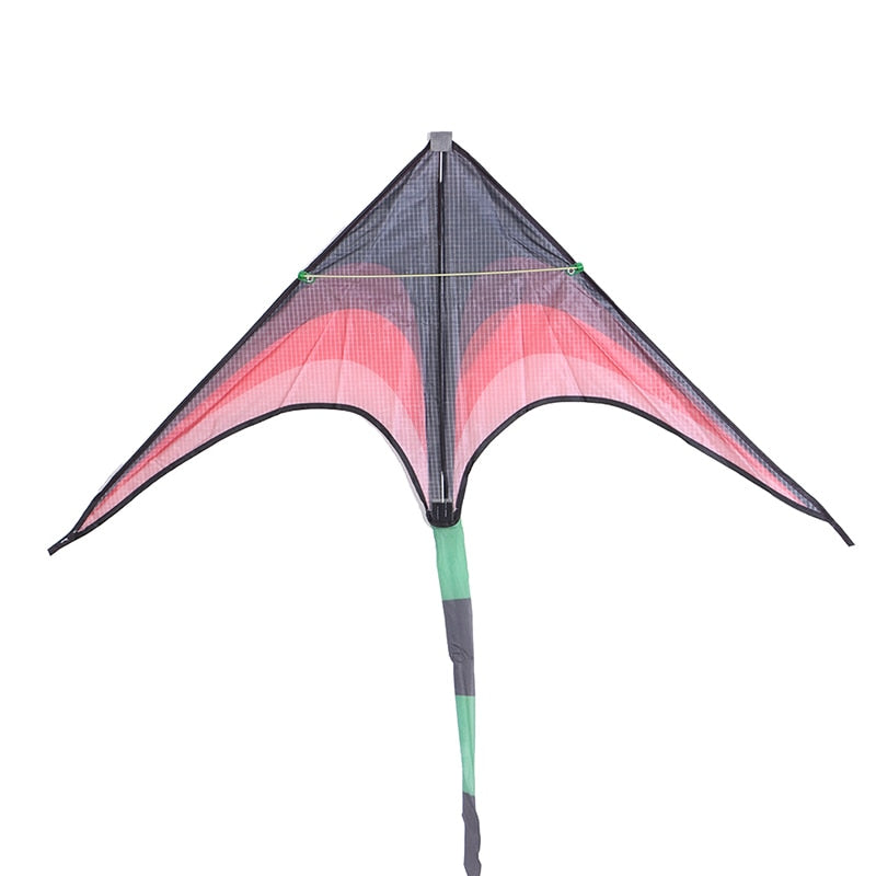 Large Delta Wind Kite