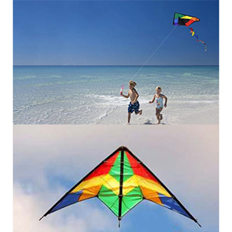 Large Delta Wind Kite